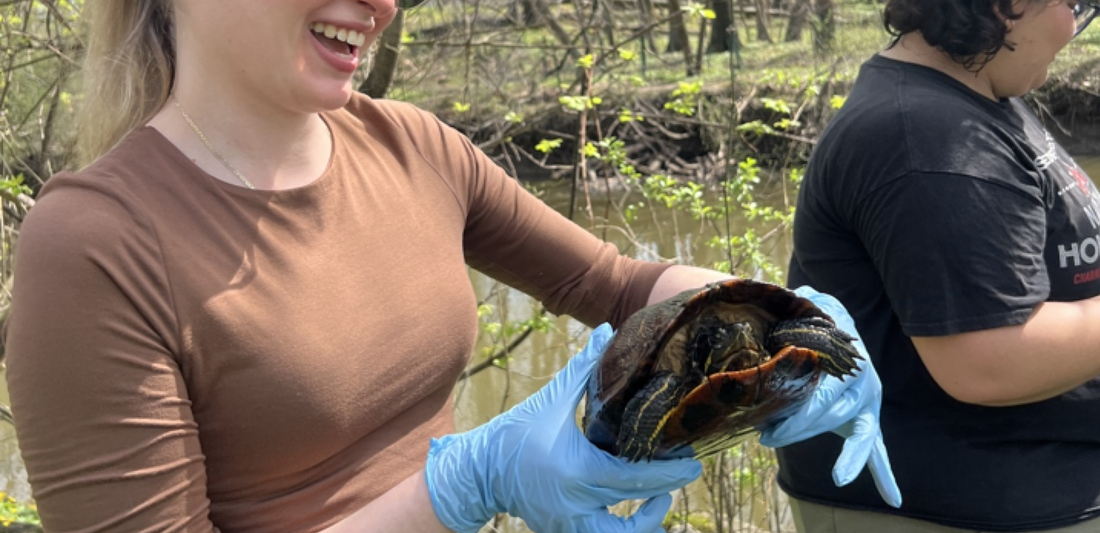 DePaul Sustainability Scholar Hero Image