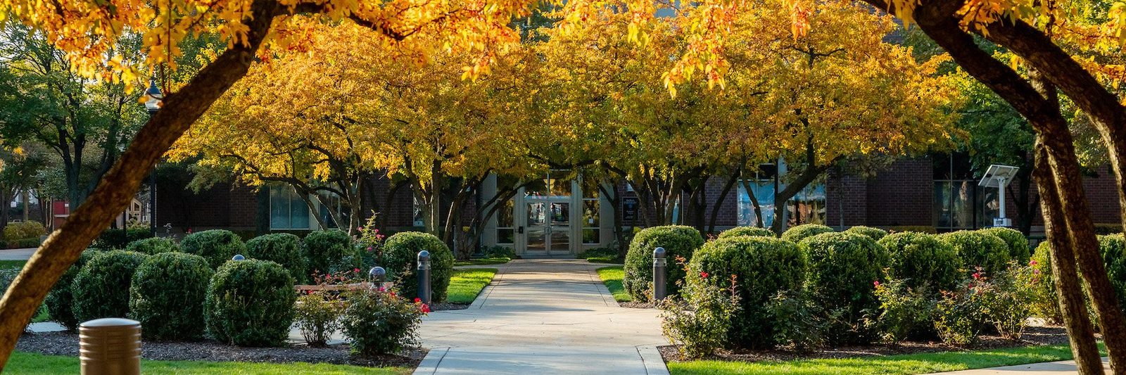 fall outdoor campus