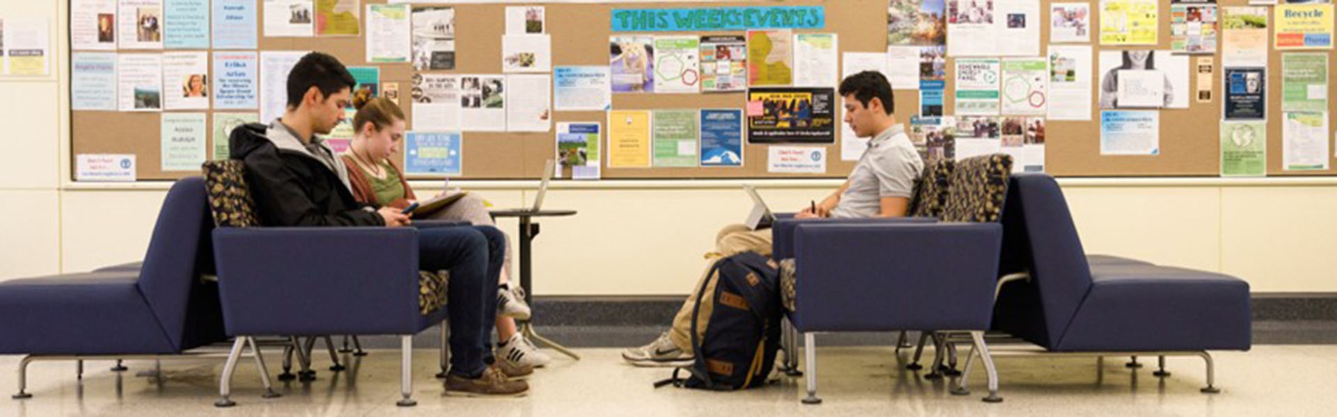 Group of students working together