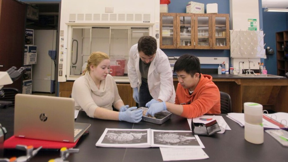 Three students observing specimens in a lab.