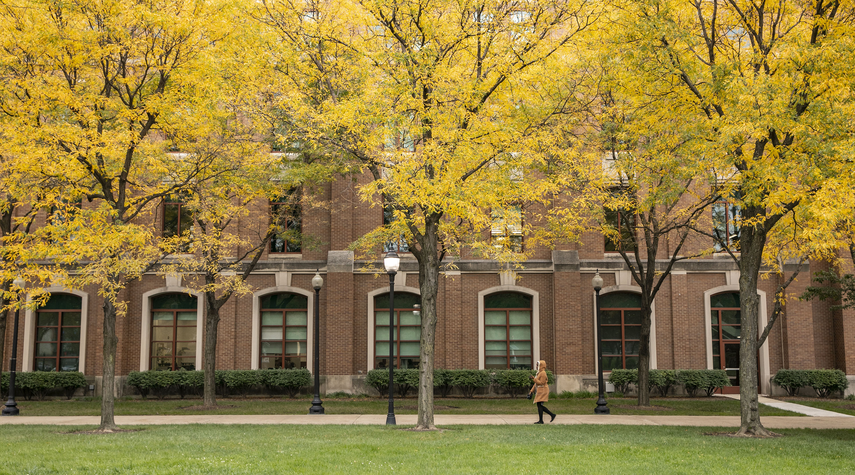 Fall campus