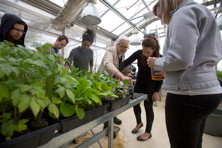 Environmental Science and Studies