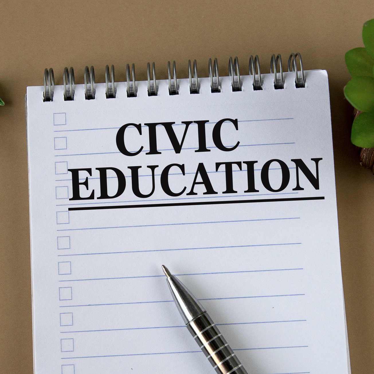 Civic education