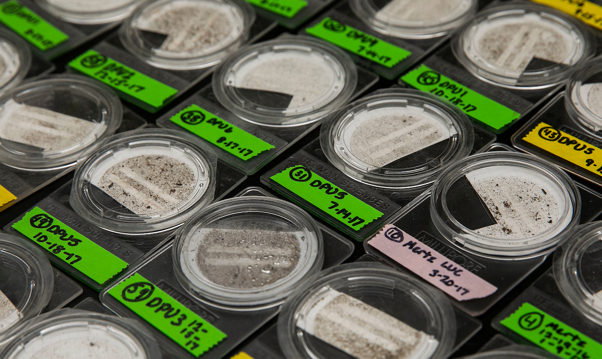Dust samples containing spores lined up in Bala Chaudhary’s lab.