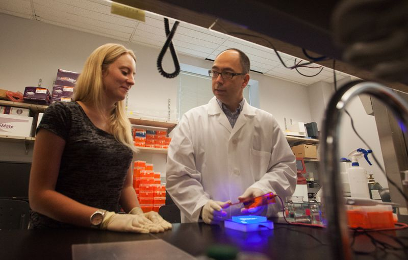 Student and faculty discussing samples in a lab.