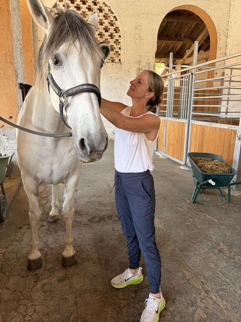 A woman grooming a horse