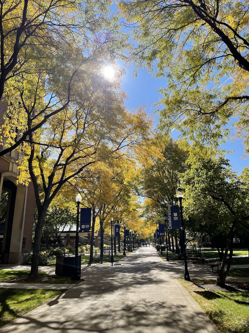 DePaul Quad Fall