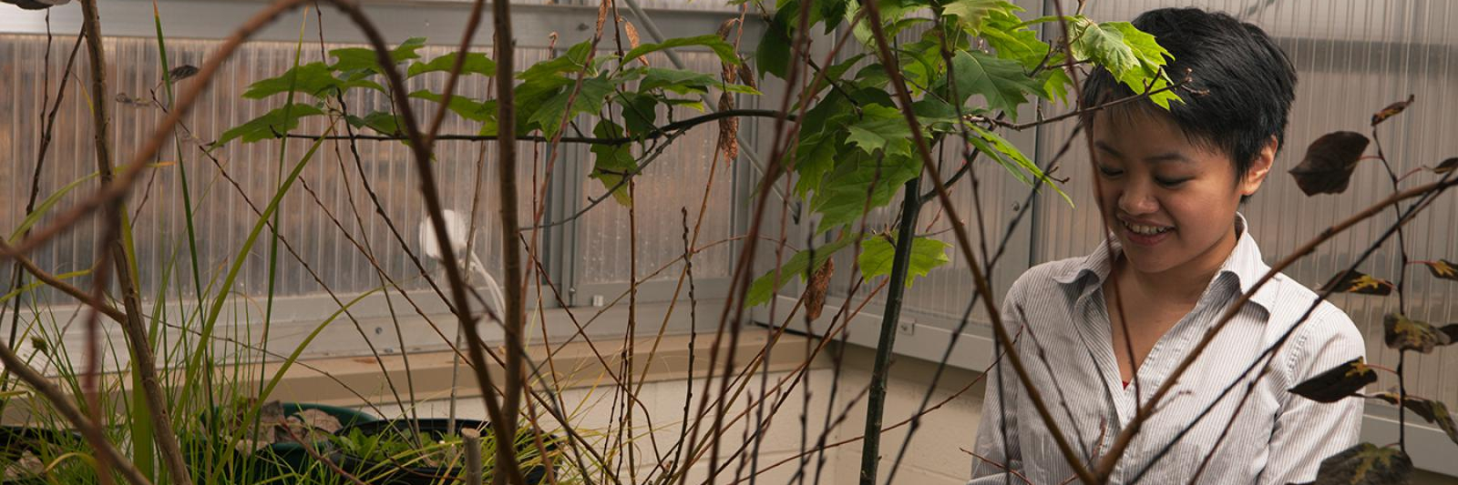 Student observing plant specimen.