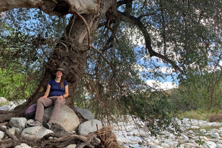Person sitting at the base of a tree.