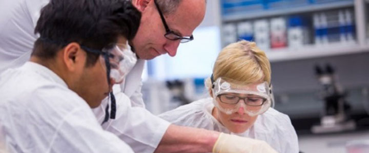 Research and applied degree programs