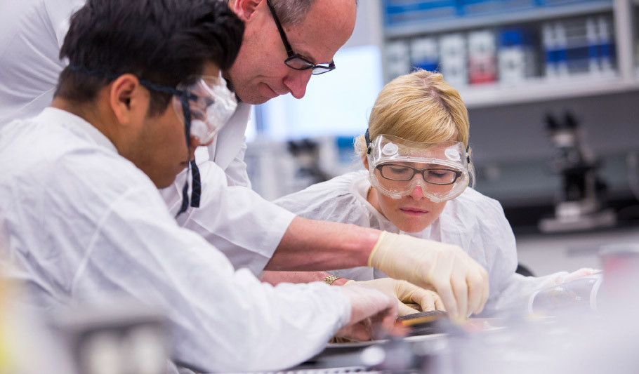 Students analyzing samples in lab.