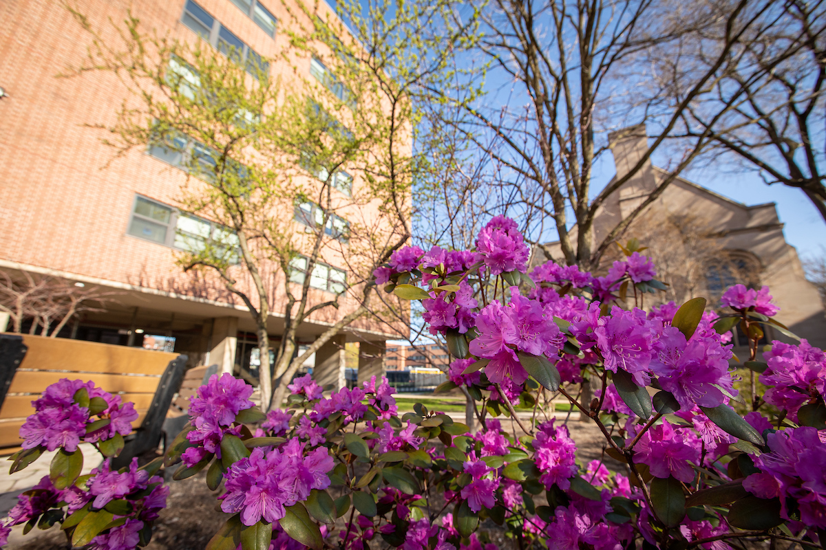 Springtime at DePaul