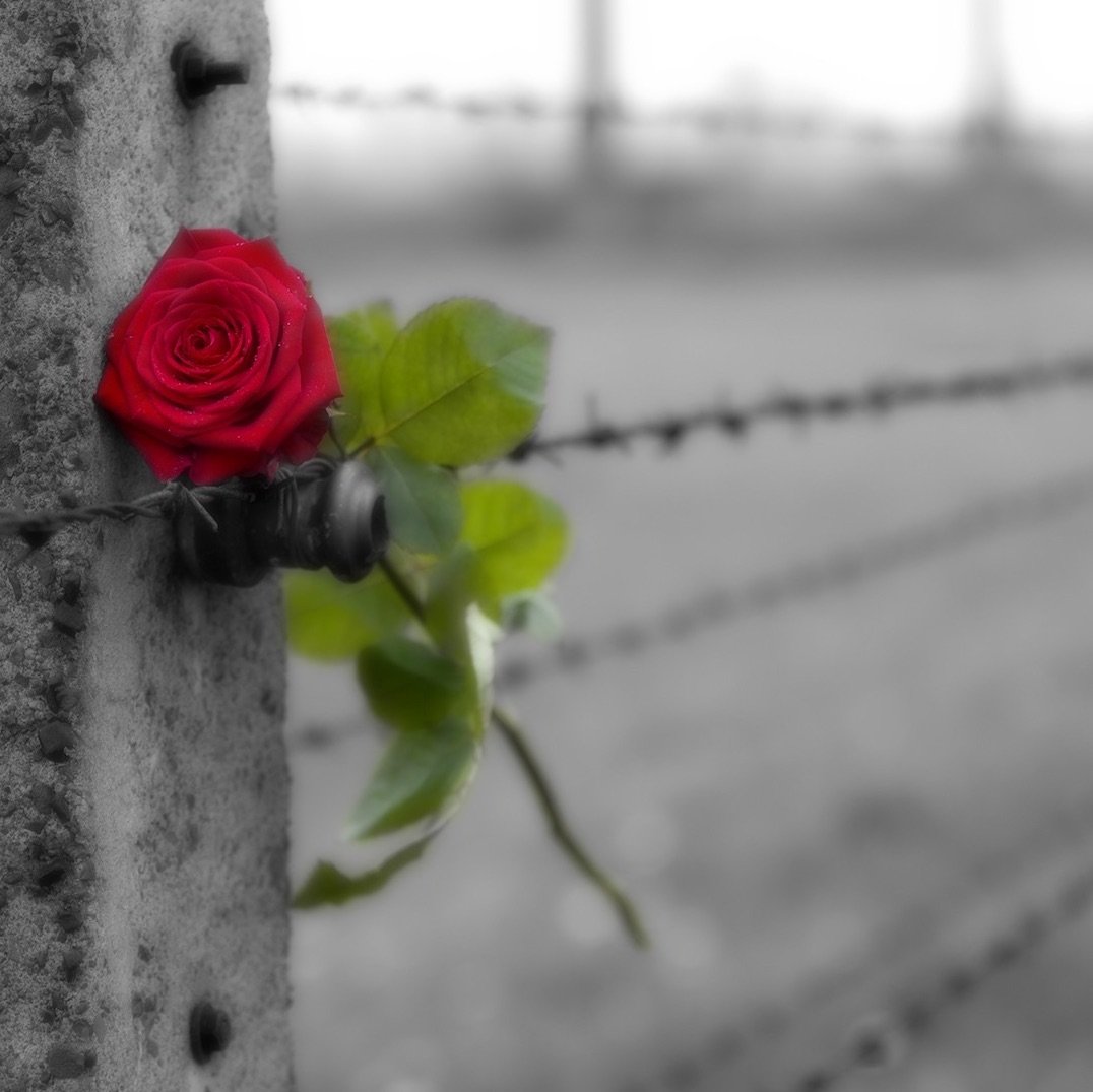 Cathedral in Rio de Janeiro