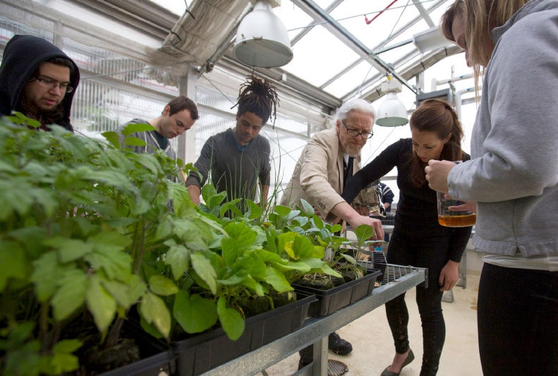 Students and faculty gather around plant specimens and discuss.