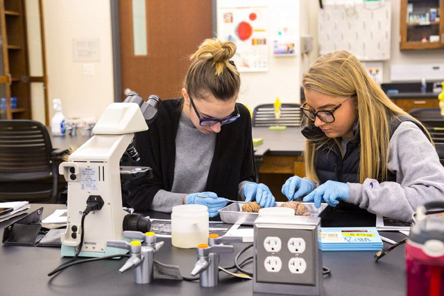 Neuroscience students in lab