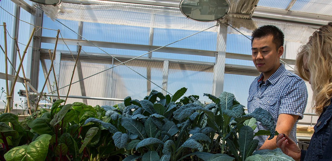 Students observing plant life.