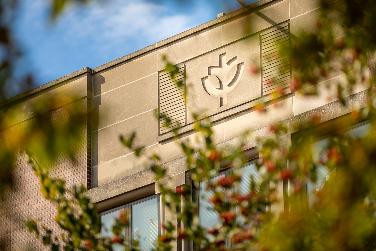 Stone Tree of Wisdom on DePaul building
