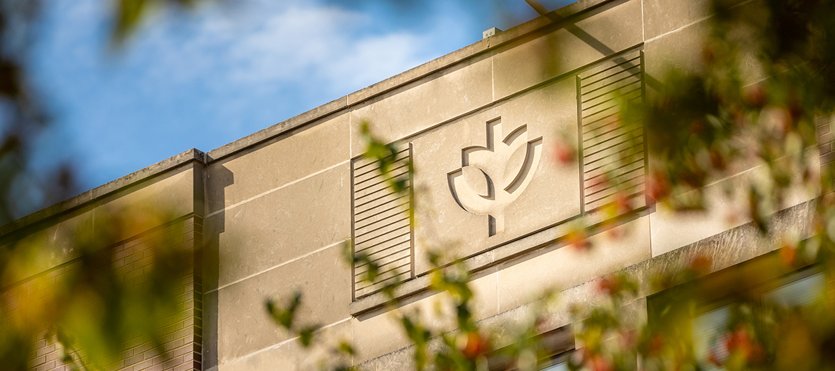 Lincoln Park Campus Tree of Wisdom