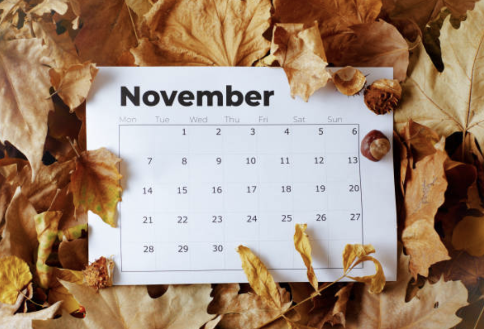 an image of a november calendar with fallen leaves all around it