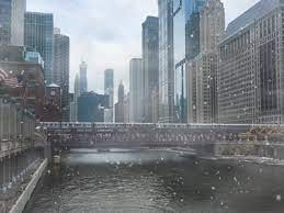 Winter in the Loop
