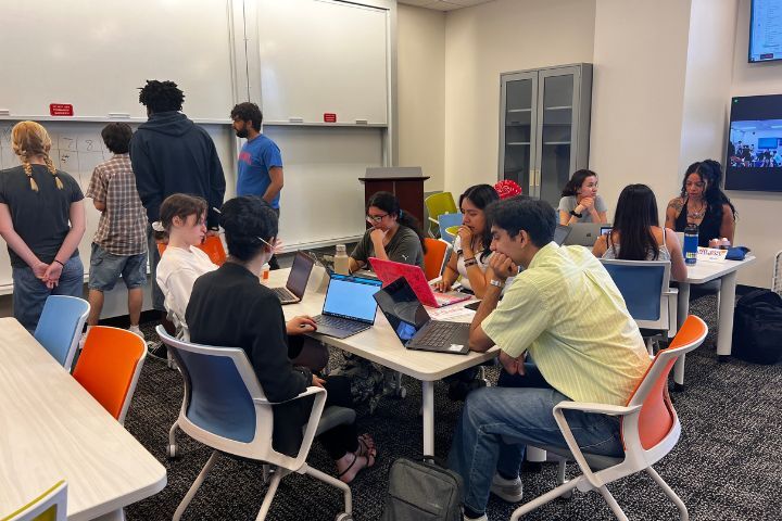 STEM Summer Institute