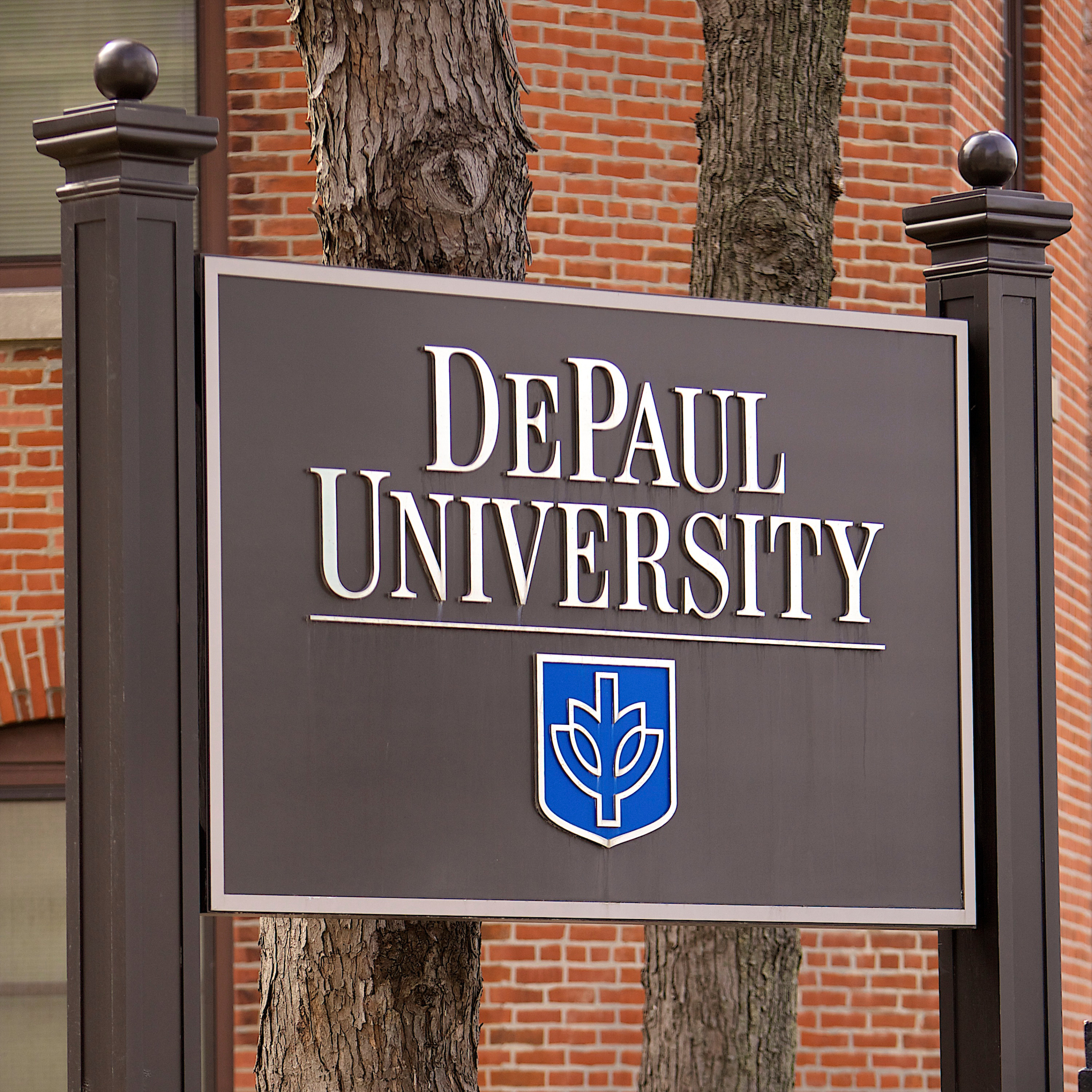 DePaul University