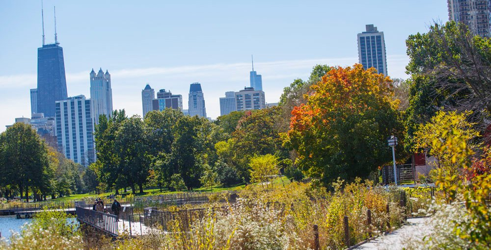 Sustainable Urban Development