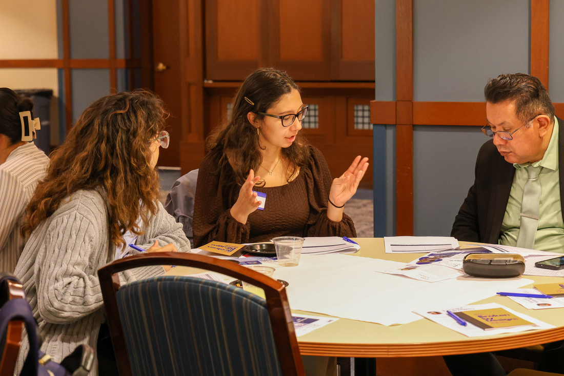 DePaul Law DMC Practitioners in Action Program