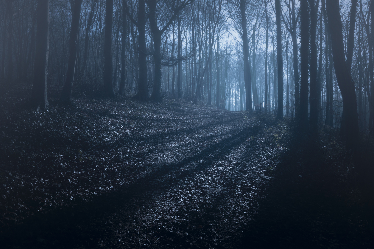 Scary woods