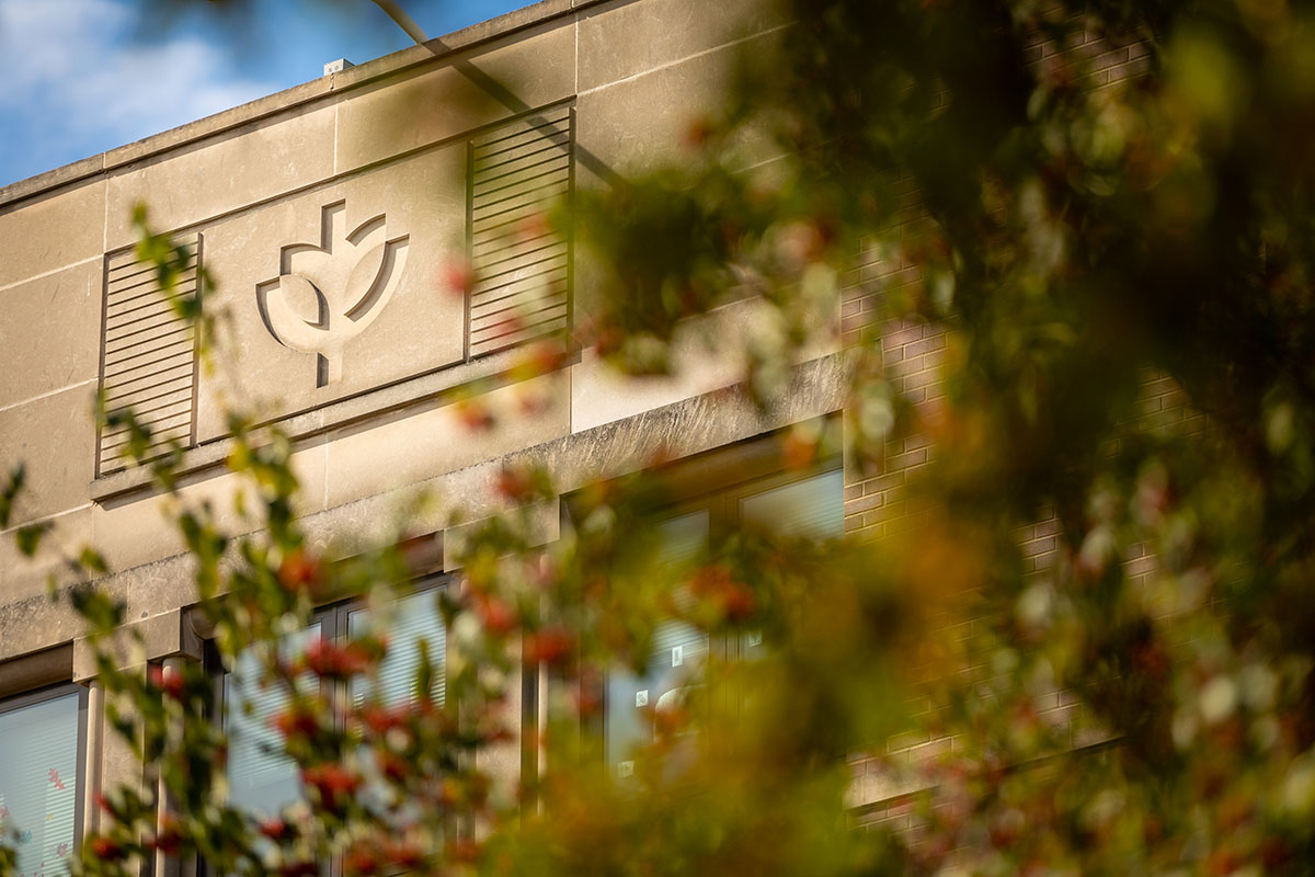 DePaul tree of life logo on a DePaul building with fall leaves in the foreground.