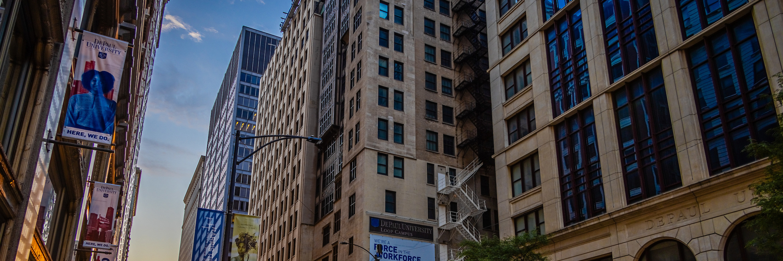 The Business of Sustainability - Careers for a Changing World